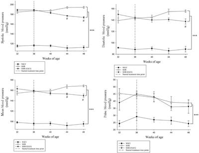 Cerebral Cortex Apoptosis in Early Aged Hypertension: Effects of Epigallocatechin-3-Gallate